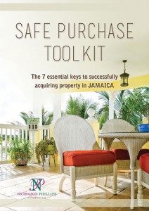 Safe Purchase Toolkit Flyer Design