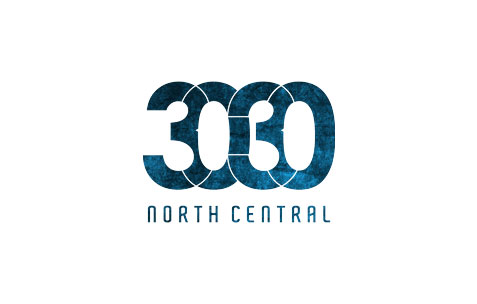 3030 logo