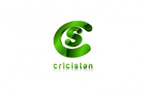 Crisitial logo and branding