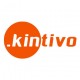 Kintivo logo and branding