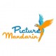 Picture Mandarin logo