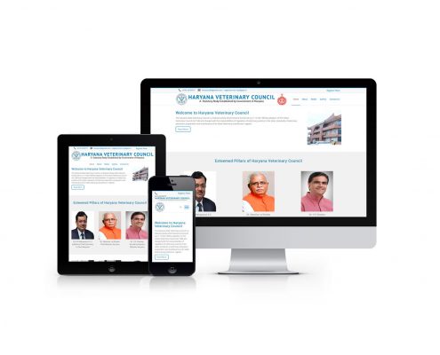 Website Designing Company in Chandigarh