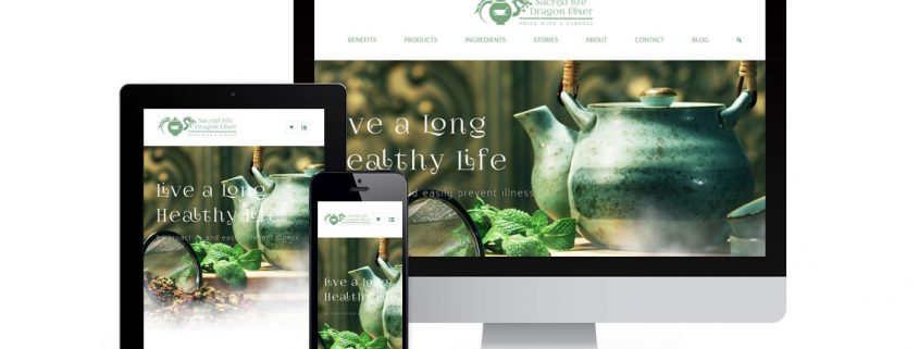 Website Designer Company in Chandigarh